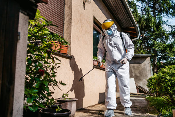 Best Rodent Control Near Me  in Cranston, RI
