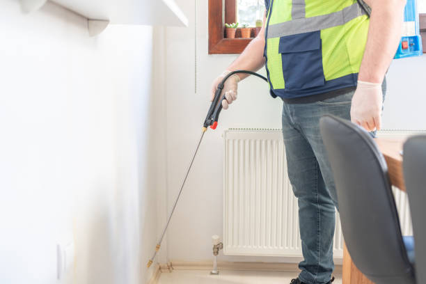 Reliable Cranston, RI Pest Control Solutions