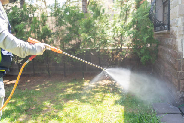 Best Bed Bug Extermination  in Cranston, RI