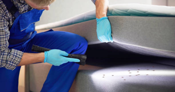 Best Best Pest Control Companies  in Cranston, RI